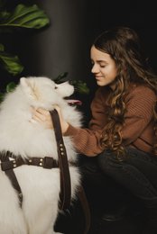 Norsk seler til en hund fra det fluffy hvalpemærke, naturligt læder, 3 størrelser, håndlavet!