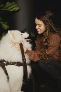 Norwegian braces for a dog from the Fluffy Puppy brand, natural leather, 3 sizes, hand made!