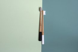 Jungle toothbrush in bamboo travel case