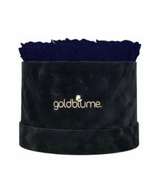 Velvet Black Collection