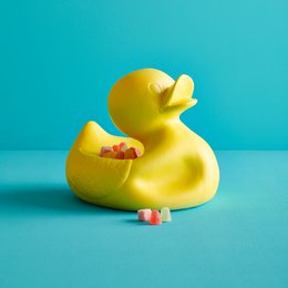 mr. Ugly Duckling Small & Large