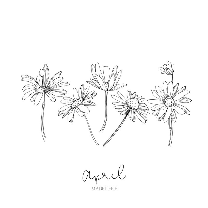 Geburts-Blumenfliese | Januar