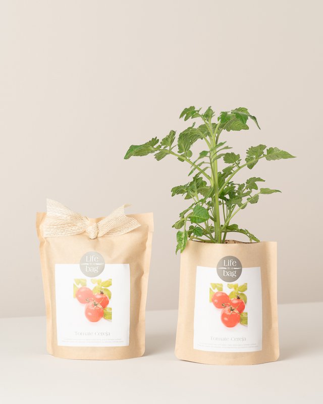 Grow Bag Cherry Tomato