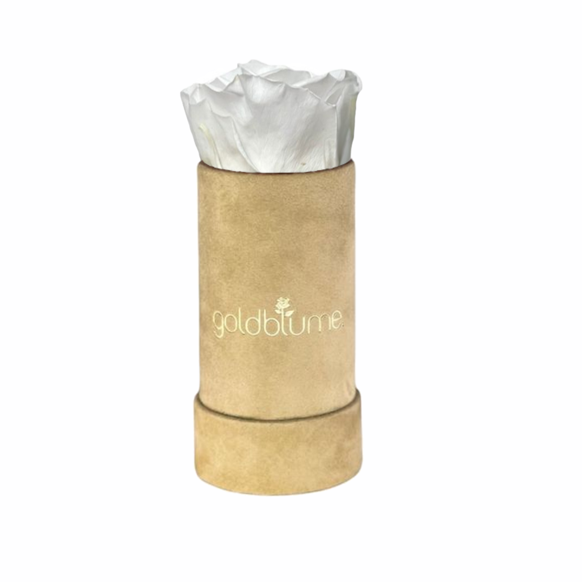 Colección Terciopelo Beige