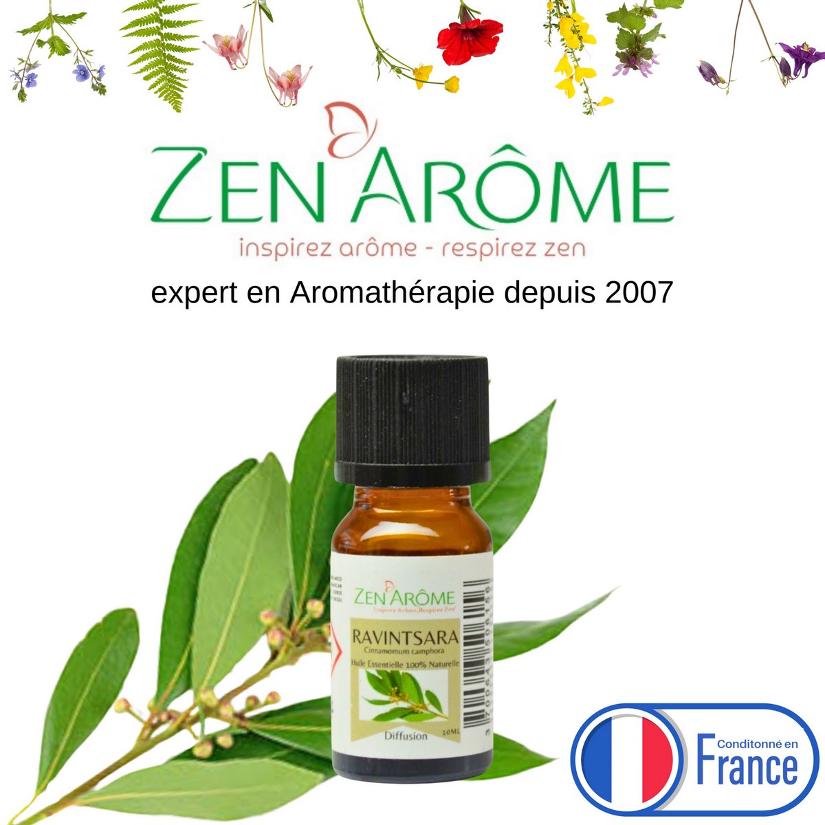 Huile Essentielle – Ravintsara - 10 ml – Utilisation pour la Diffusion – Conditionnée en France