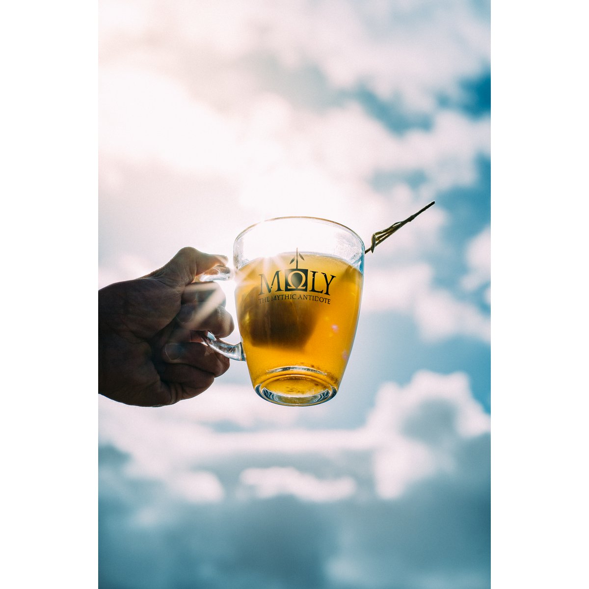 MΩLY „Verdauung“ – Bio-Kräutertee mit natürlichem Kräuterstamm