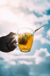 MΩLY "Digestion" – Organic Herbal Tea with Natural Herbal Stem