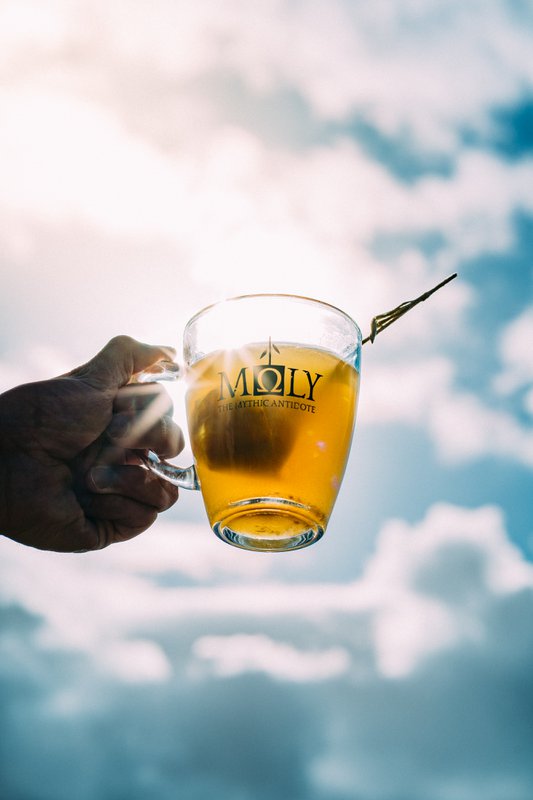 MΩLY "Digestion" – Organic Herbal Tea with Natural Herbal Stem