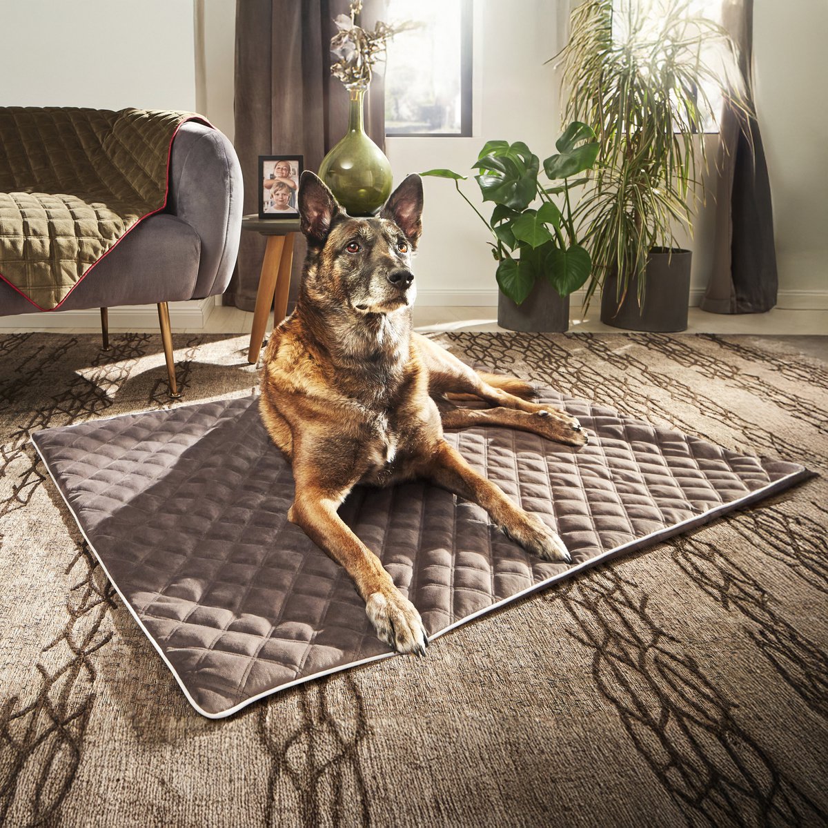 Coperta in velluto OXFORD per cani