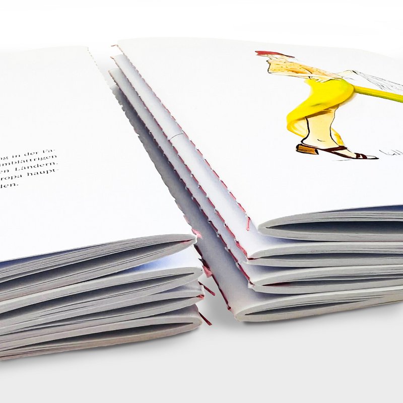 Stitched booklet | banana