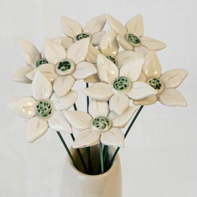 Stella alpina ⌀ ca. 4 cm| Stelo da 20 cm