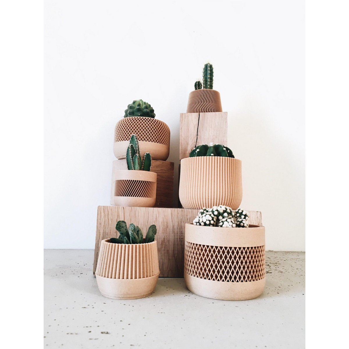 MAT Kamerplanter