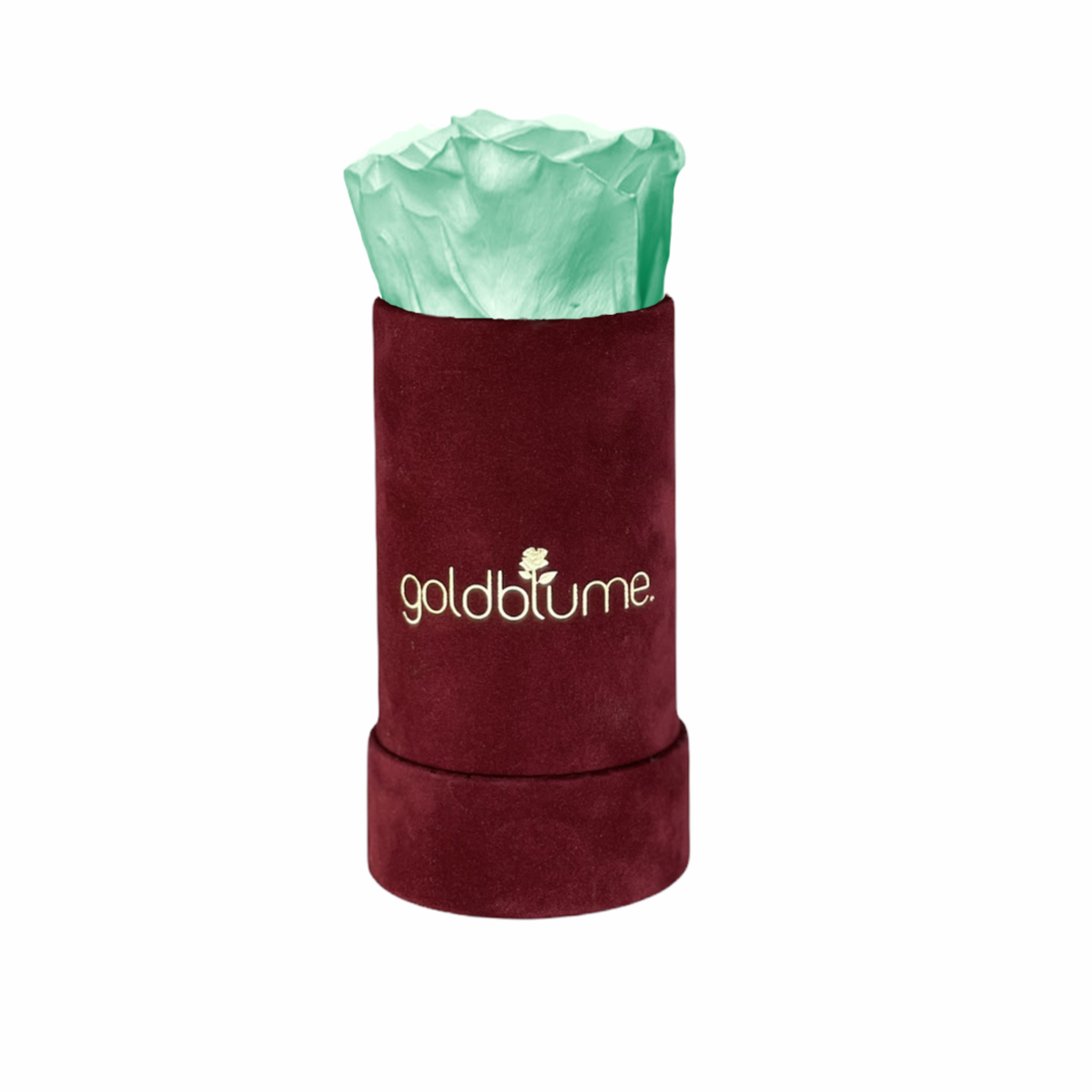 Collection Velours Bordeaux