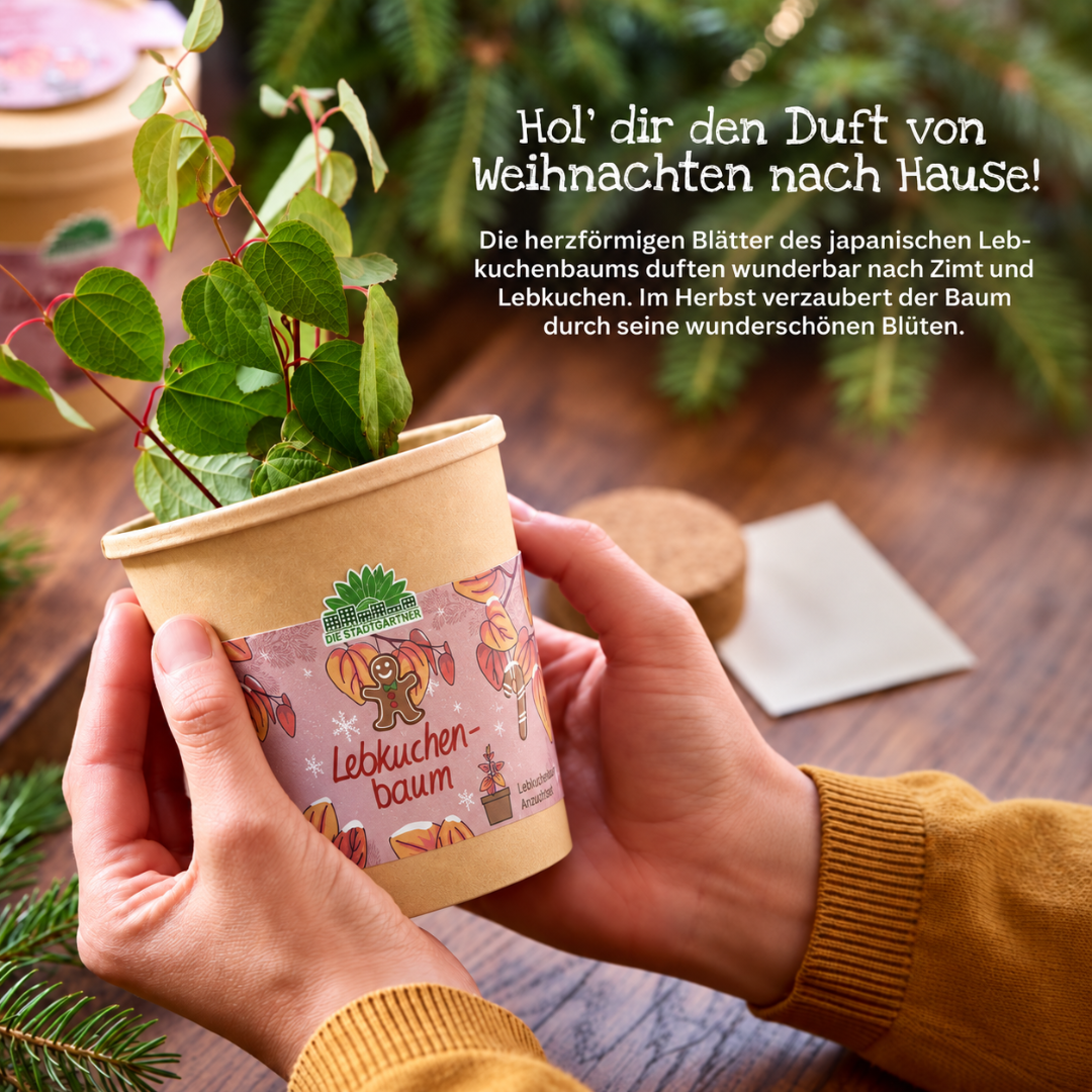 Lebkuchenbaum aus dem Becher