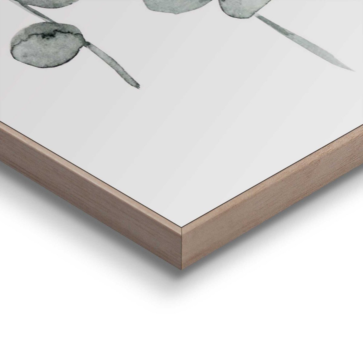 Painting Slim Frame Eucalyptus 30x20
