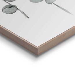 Painting Slim Frame Eucalyptus 30x20