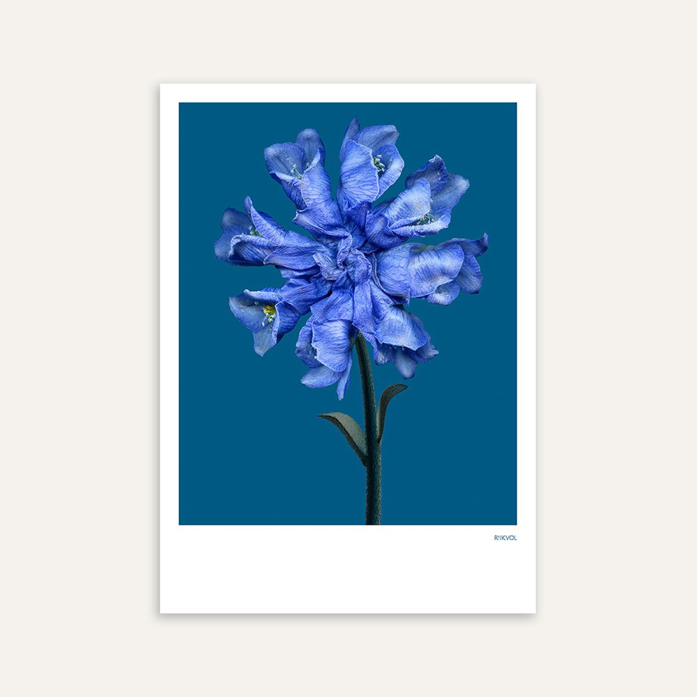 FlowerCollage 04, postcard
