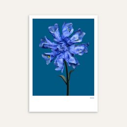 BlumenCollage 04, Postkarte