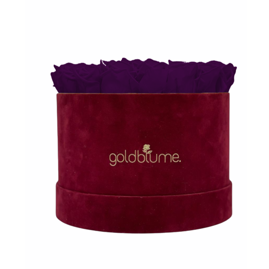 Collection Velours Bordeaux