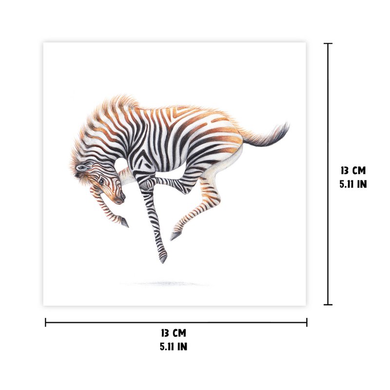 Puledro zebra - Biglietto d'auguri, 13 x 13 cm, fauna selvatica, cartoline