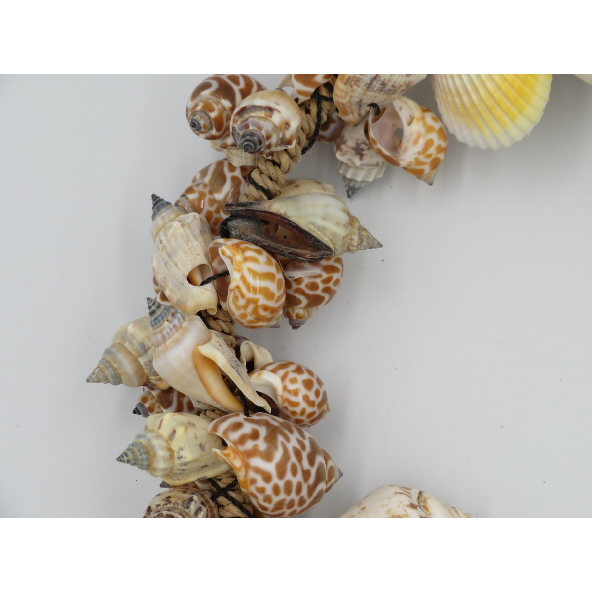 Muschelkranz 25 cm