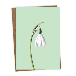 Grußkarte Leporello Schneeglocke
