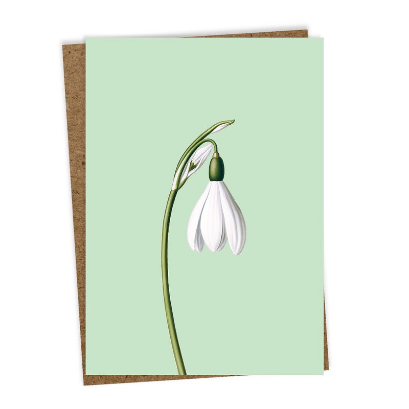 Grußkarte Leporello Schneeglocke