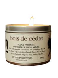 Cedarwood scented candle with a round, tall shape and a warm, earthy fragrance.