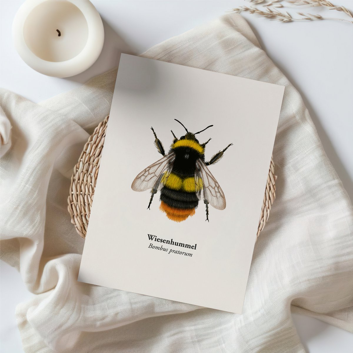 Hummel Karta z życzeniami o wysokości pocztówki z rysunkiem z papieru WiesenHummel-FSC®