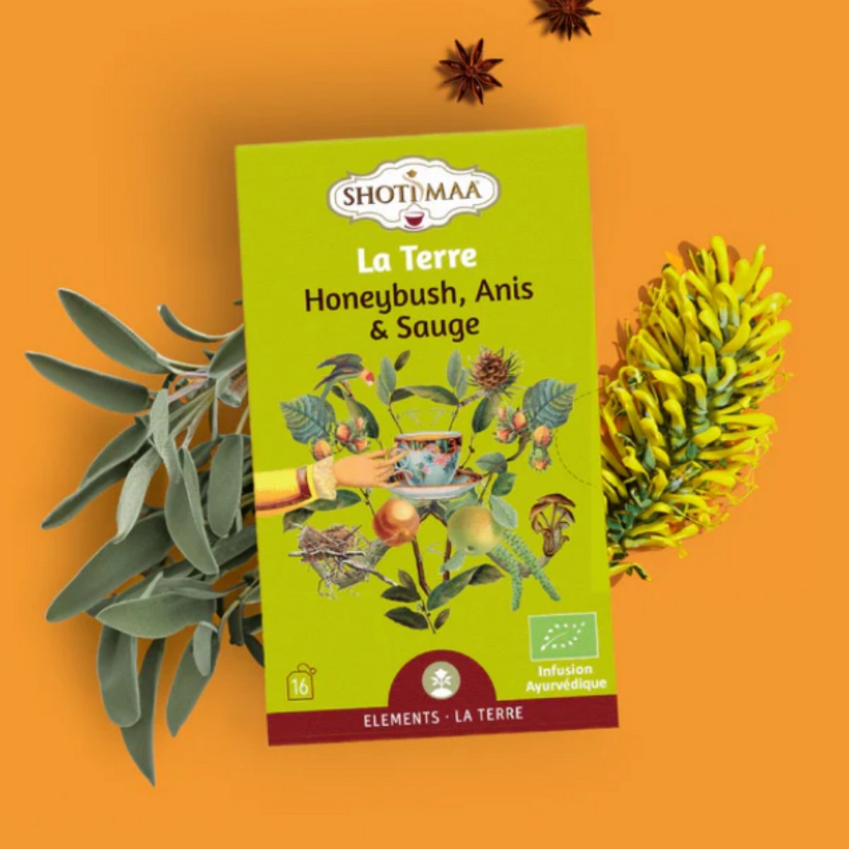 Bio-Kräutertee-Aufguss „Elements of Nature“ – Wohlfühl-Aufgüsse, inspiriert von den 5 Elementen für Ausgeglichenheit und Vitalität – erdig, beruhigend, revitalisierend, duftend