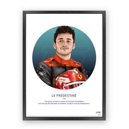 Poster "DIE BESTIMMTEN" - 30x40cm