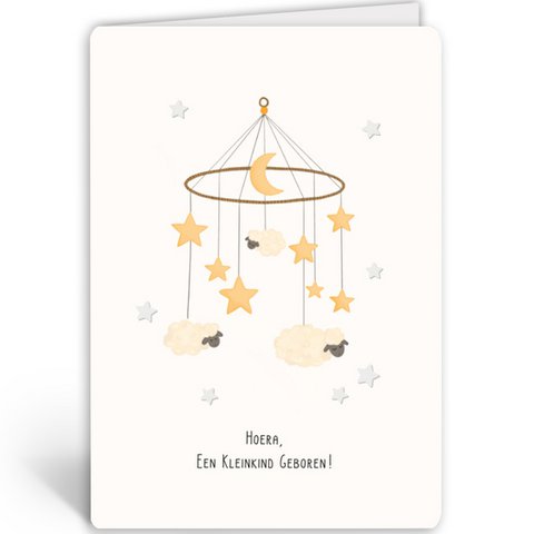 ENFLS3895 - Hoera, Een Kleinkind Geboren!