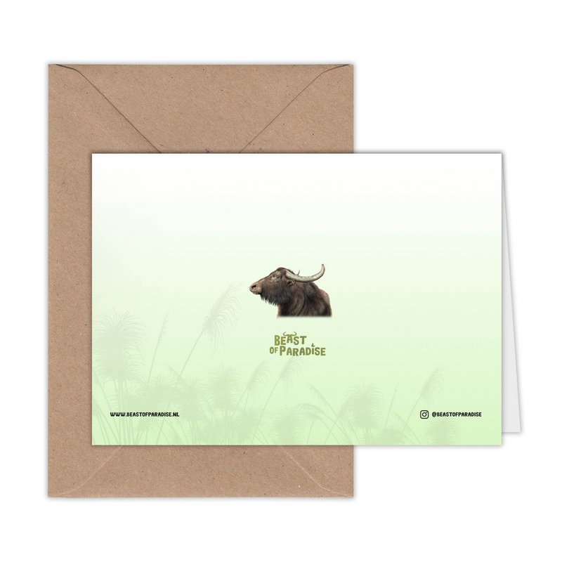 Water Buffalo Greeting Card, Animal Birthday Cards, Farm Cards