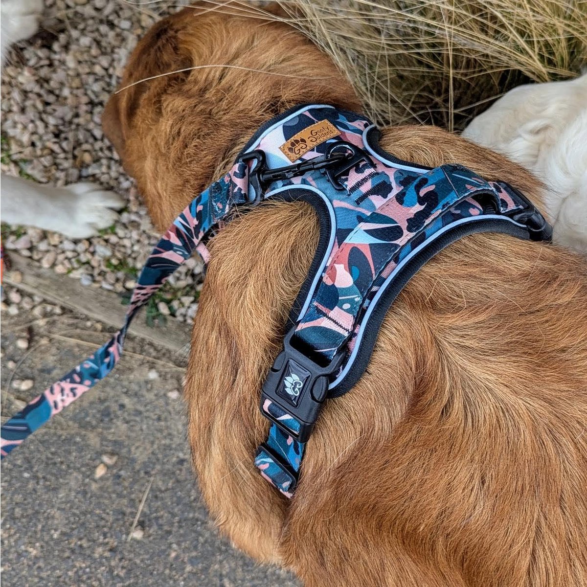 Savane Comfort Y Harness