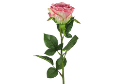 Kunstbloem Rosa roze- L8B8H70CM