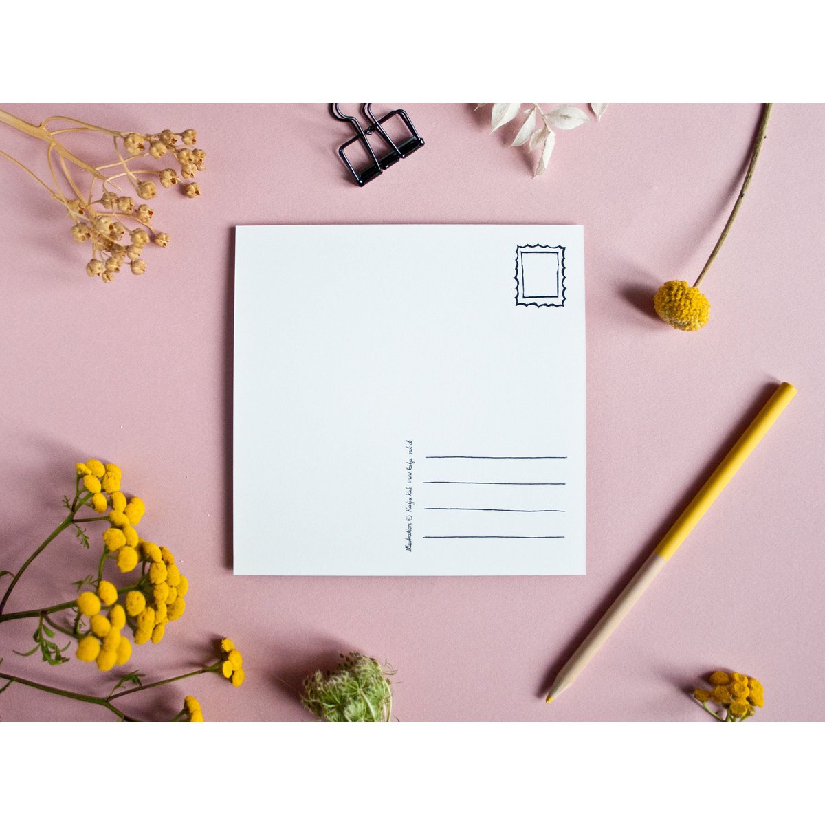 Quadratische Postkarte Erdmännchen