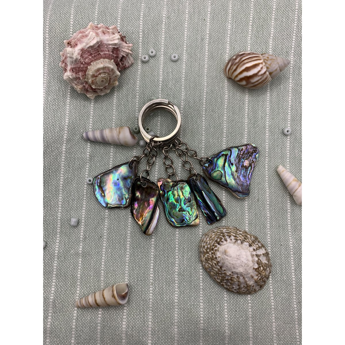 Abalone Keychain: Unique Abalone shell Keyring Accessory for Ocean Lovers