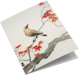 Grußkarten-Set Vogeldrucke