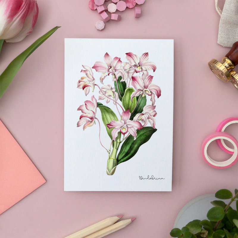 Rose Pack - Håndlavede postkort A6 med konvolut - Botanisk Vintage