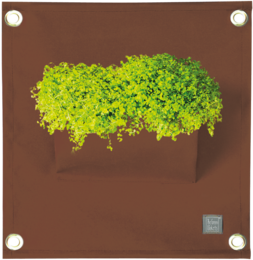 Le tasche verdiÂ® AMMA Brown