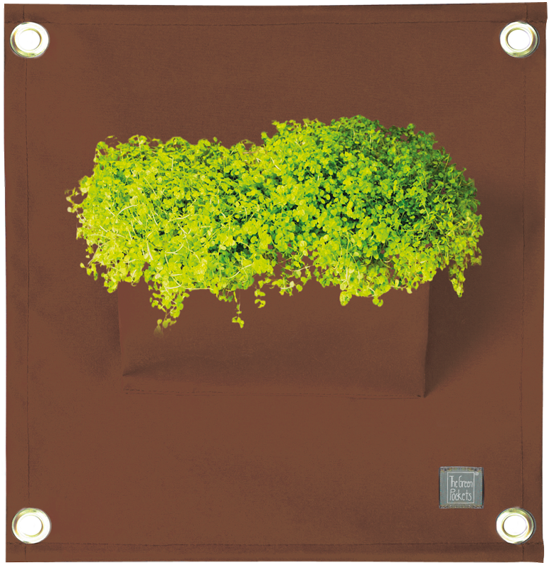 The Green Pockets® AMMA Brown