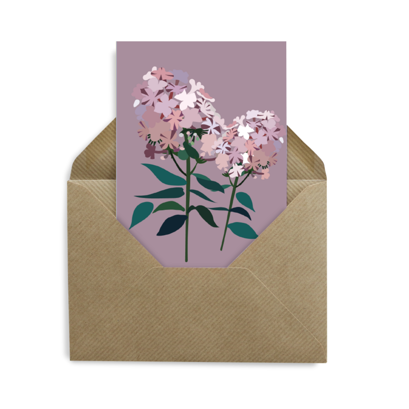 Blomsterpostkort - Phlox