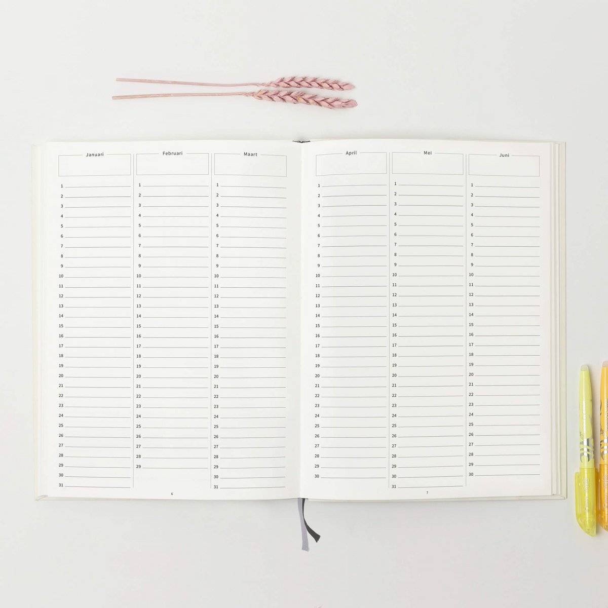 Prikkelarme planner Mandala - Medium / A5+ ongedateerd