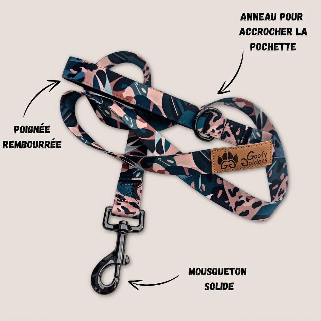 Savane dog leash