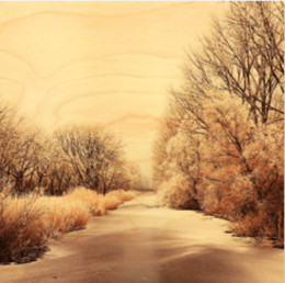 Frozen river landscape poster with bare trees, winter nature scene, sepia tones, peaceful outdoor artwork.