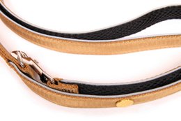 Dog leash gold, M