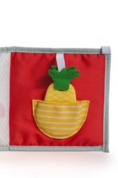 3 IN 1 BABY BOOK