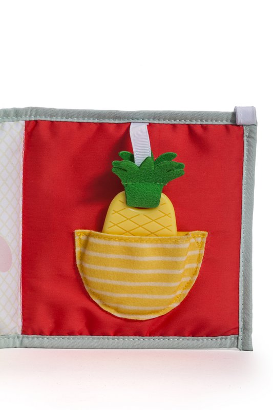 3 IN 1 BABY BOOK