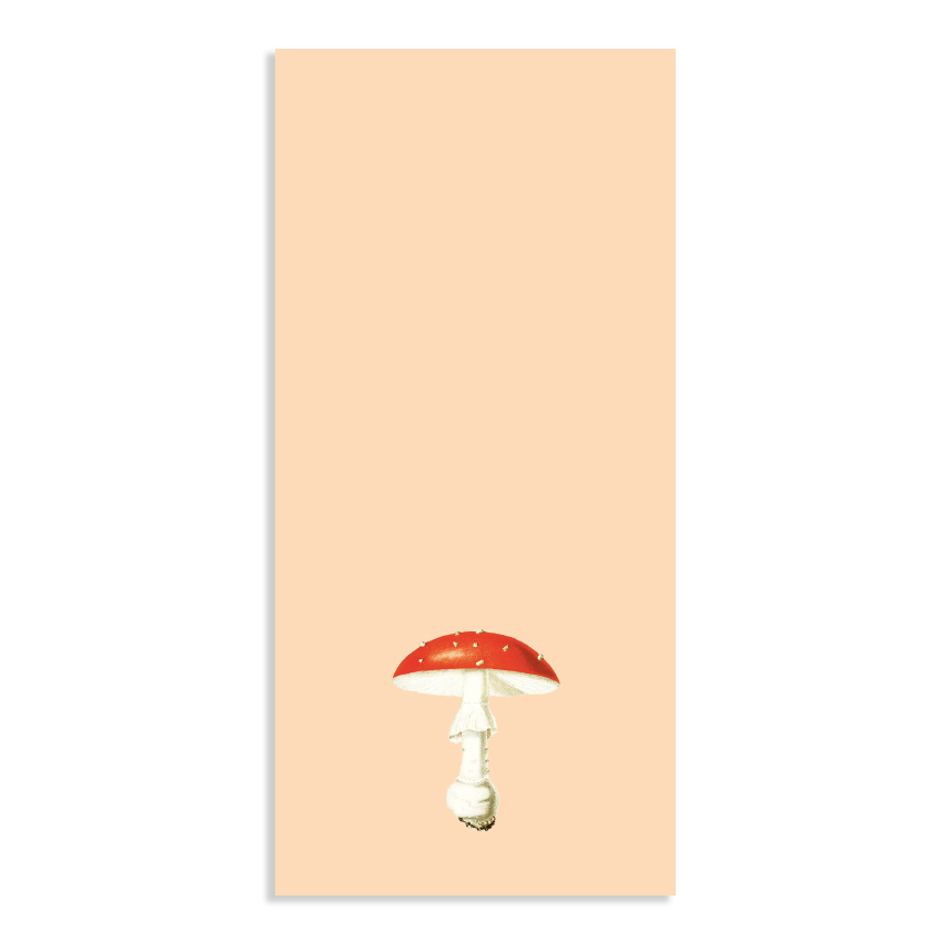 Notizblock Din Lang Fliegenpilz