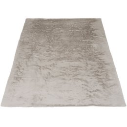 Dywan Morbido Taupe 5529 - 160 x 230 cm